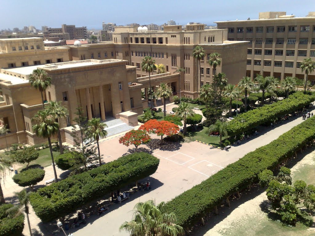 Alexandria University Faculty of Engineering Campus