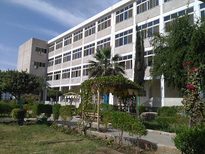 ما أفضل 8 جامعات وكليات الطب في مصر؟ تعرف على الإجابة